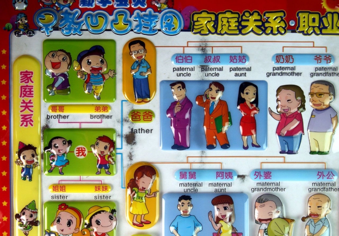 家庭关系职业/勤学宝贝早教凹凸挂图