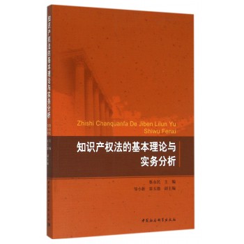知识产权法的基本理论与实务分析