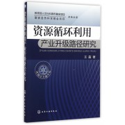 资源循环利用产业升级路径研究