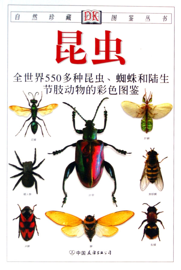 常见昆虫100种 种类图片