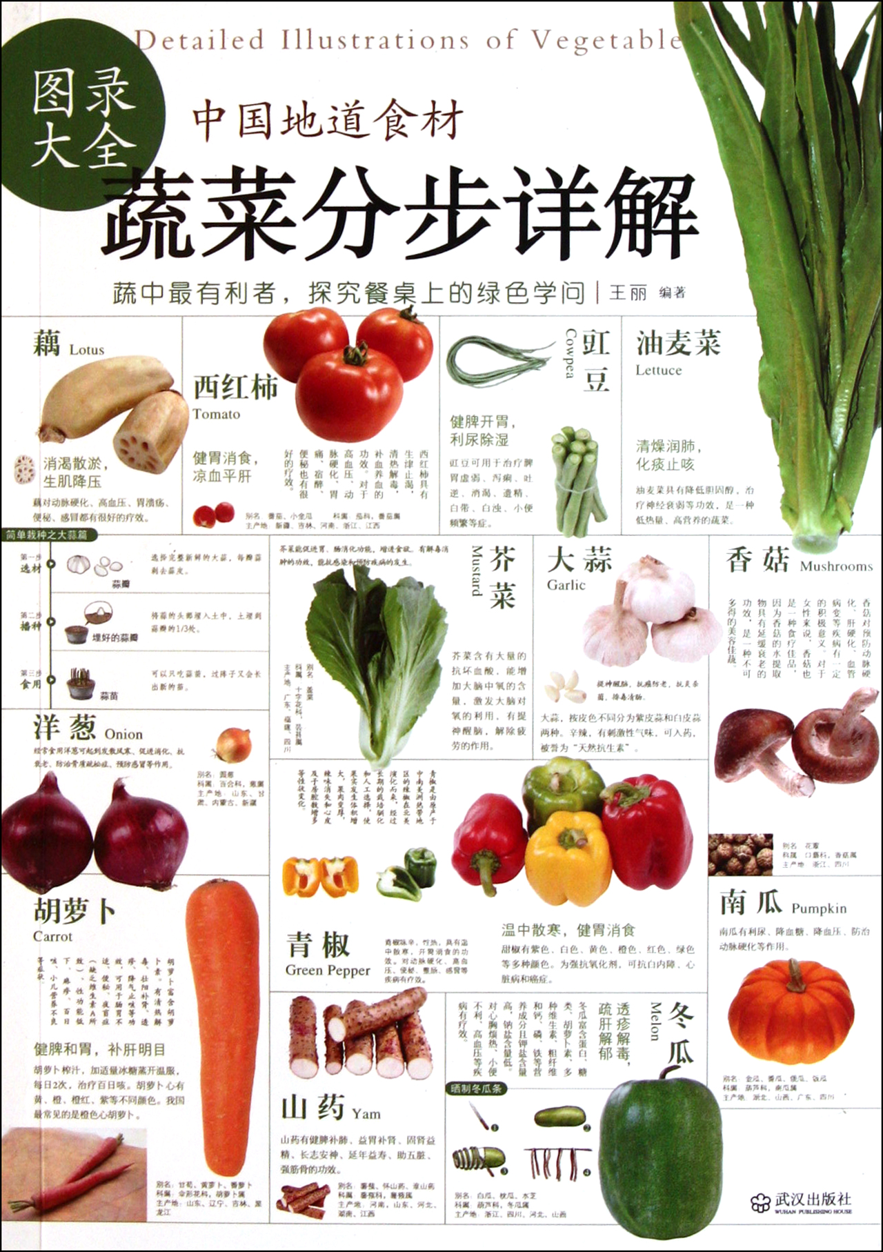 中国地道食材(蔬菜分布详解图录大全)