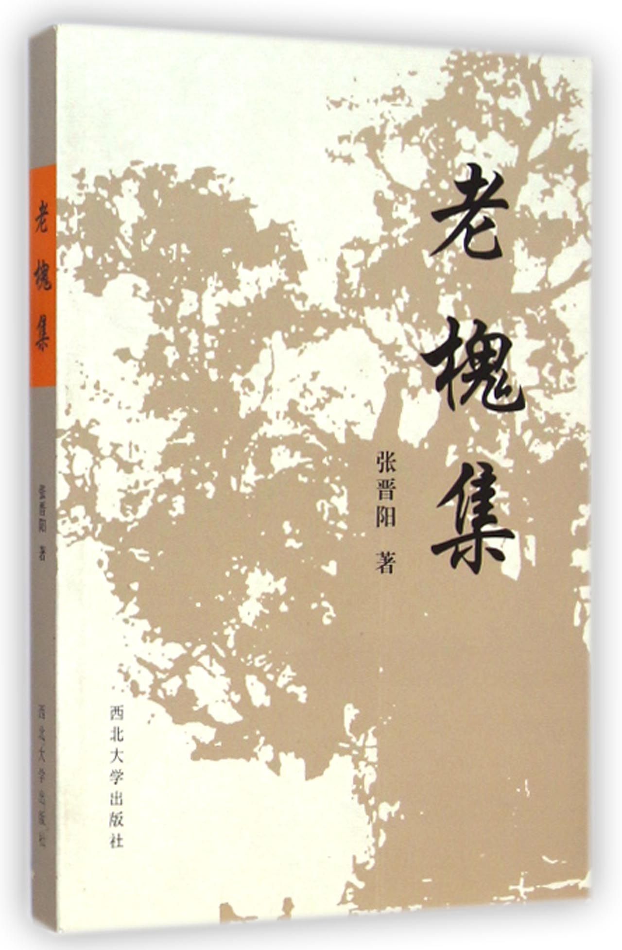 都市小说的魅力与变革——从纸墨到屏幕的旅程